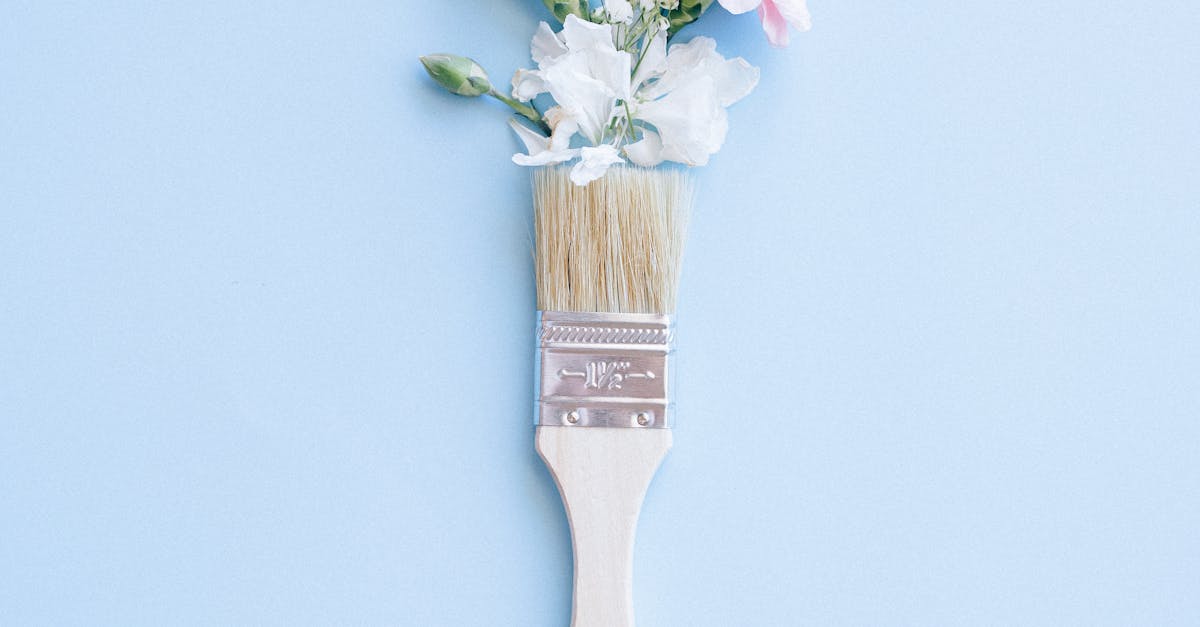 The Impact of Oven Placement on Cooking Temperatures